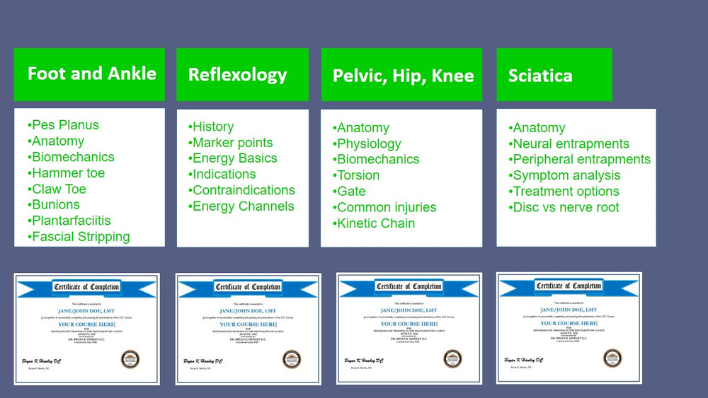 Lower Anatomy 4 Course Bundle pack 4.5 CEs from NCBTMB