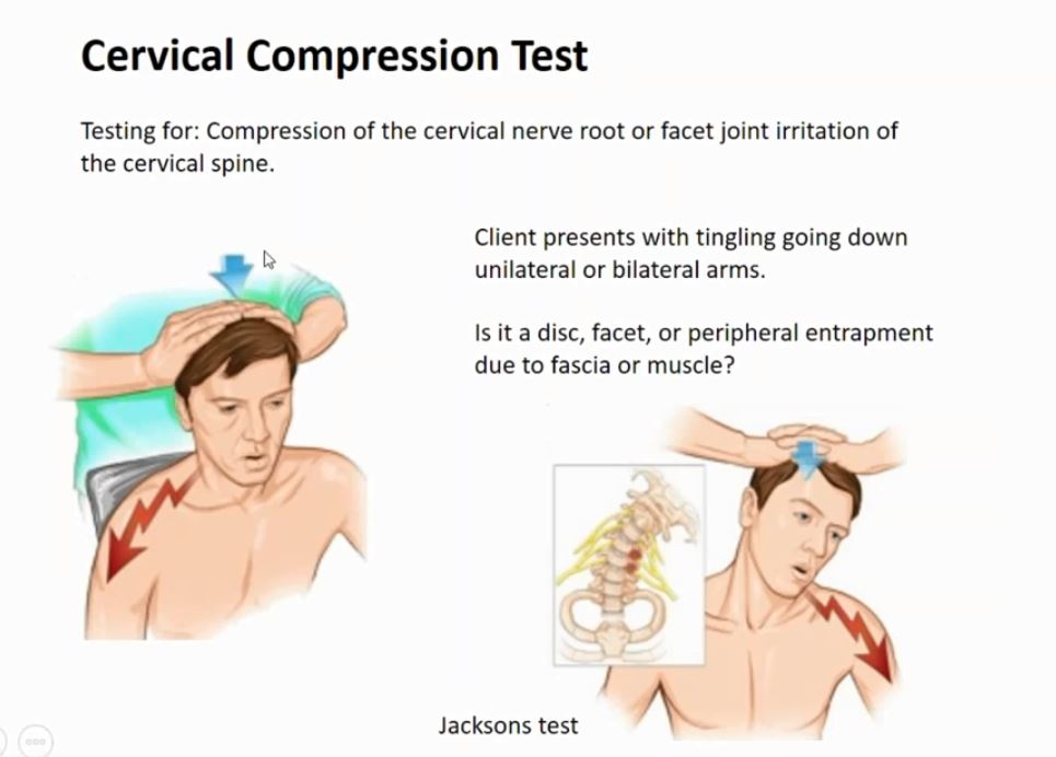 
                  
                    3 Course Scoliosis and Massage, Posture and Biomechanics, Initial Physical Assessment
                  
                